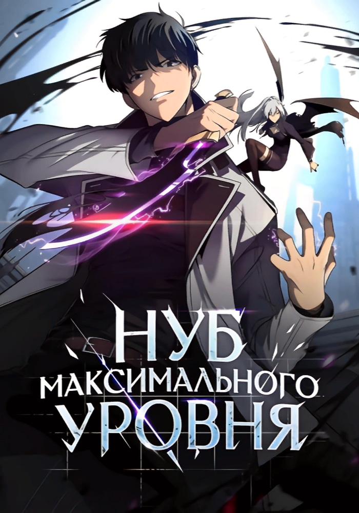 Обложка «Нуб максимального уровня»