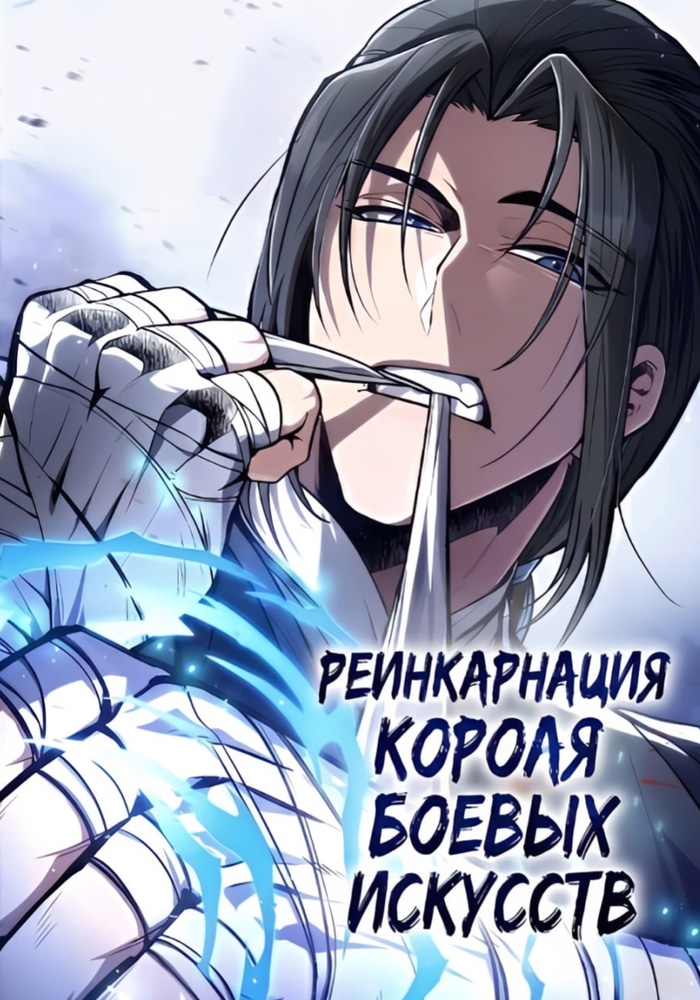 Обложка «Реинкарнация Короля Боевых Искусств»