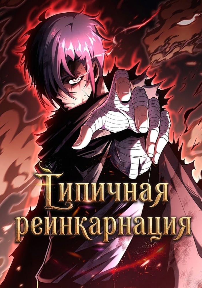 Обложка «Типичная реинкарнация»