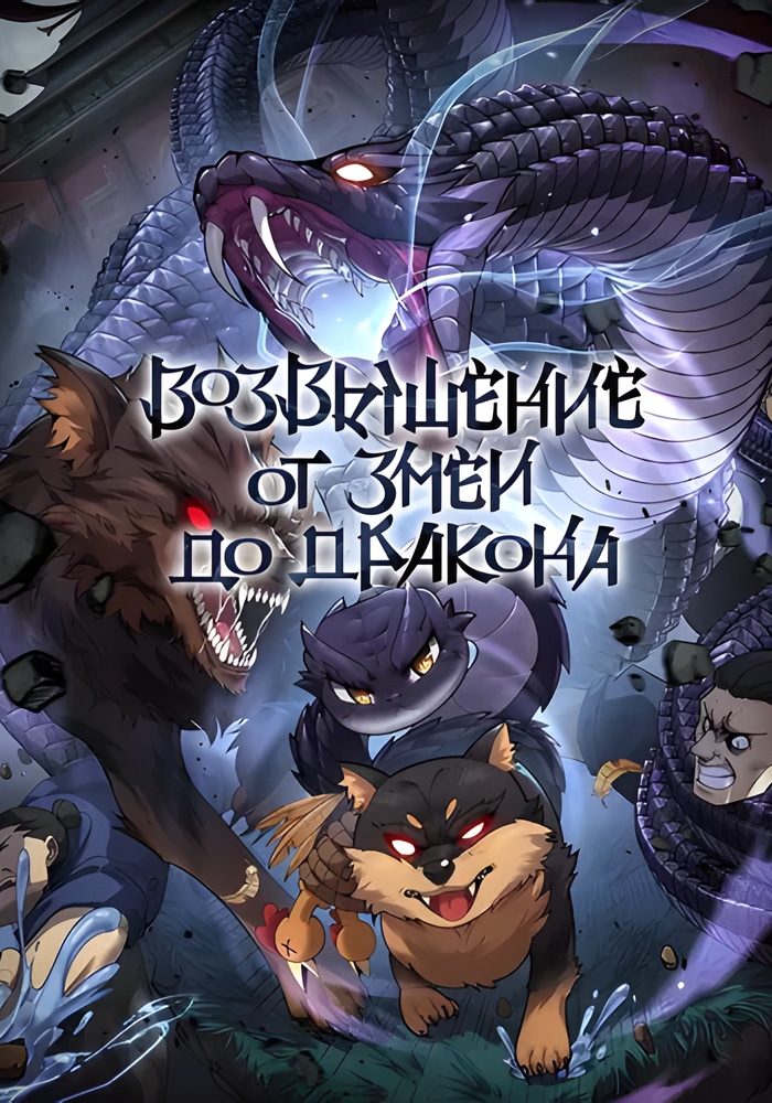 Обложка «Возвышение от Змеи до Дракона»
