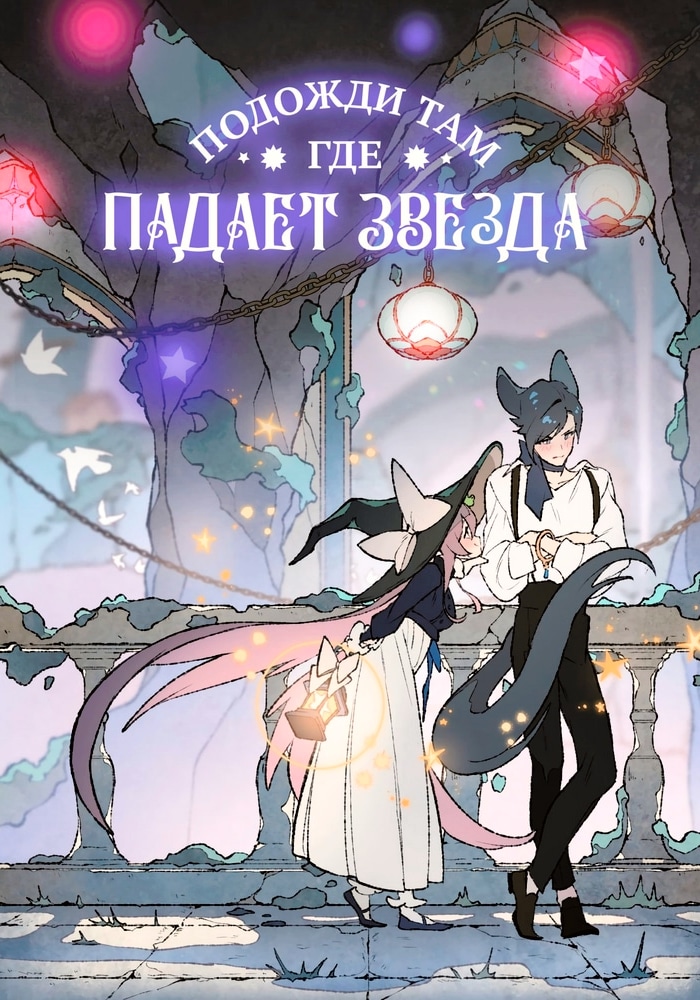 Обложка «Подожди там, где падает звезда»