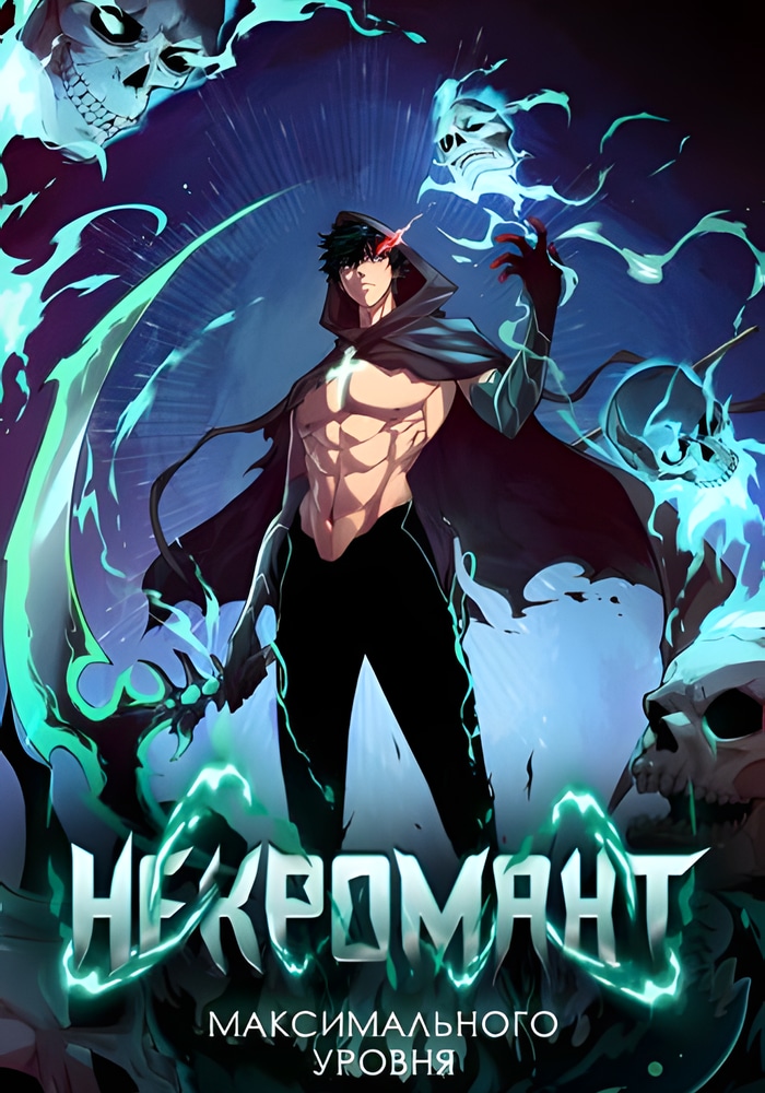 Обложка «Некромант максимального уровня»